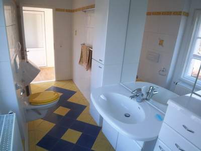 Toilette mit Dusche, Ansicht zum Flur